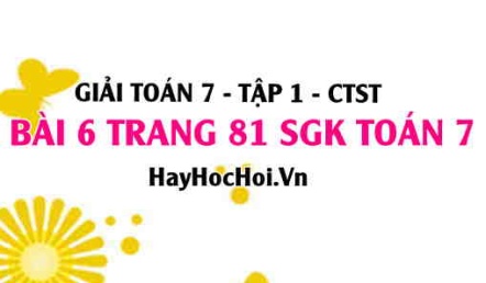 Giải bài 6 trang 81 Toán 7 Tập 1 SGK Chân trời sáng tạo